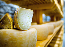 Lebensmittel- und Getränkeindustrie